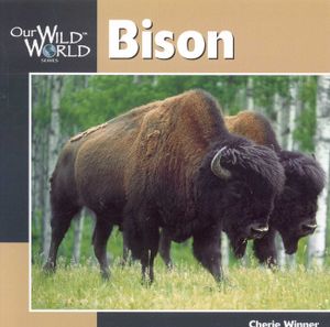 Bison image number 0