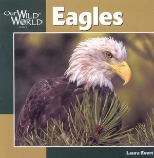 Eagles image number 0