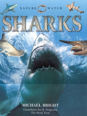 Sharks -OS image number 0