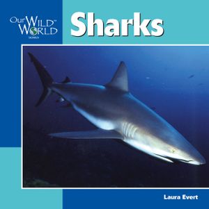 Sharks -OS image number 0