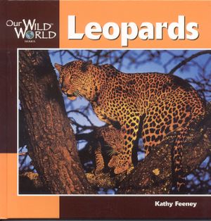 Leopards image number 0