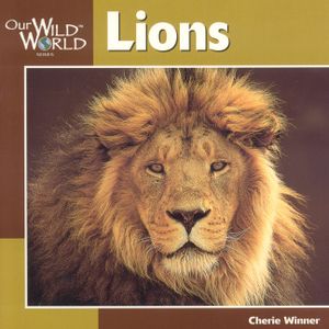 Our Wild World Lions image number 0
