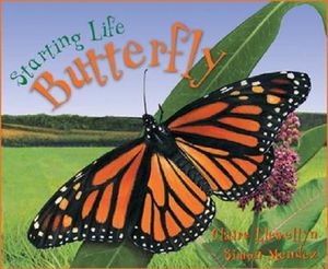 Butterfly image number 0