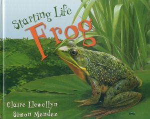 Frog image number 0