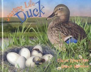 Starting Life: Duck image number 0