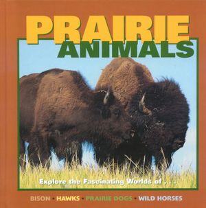 Prairie Animals: Bison, Hawks, Prairie Dogs, Wild Horses image number 0