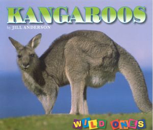 Kangaroos image number 0