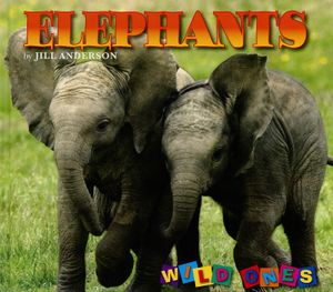 Elephants image number 0
