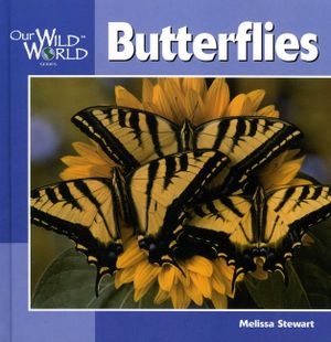 Butterflies image number 0