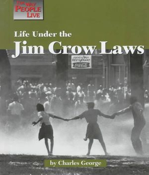 Life Under the Jim Crow Laws image number 0