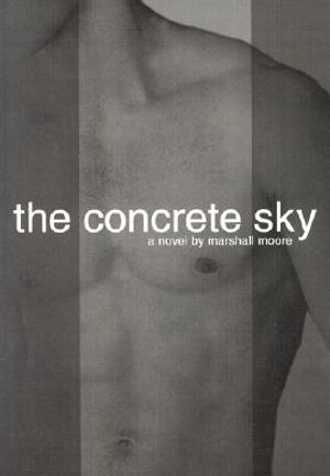 The Concrete Sky image number 0