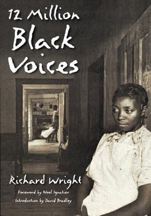 12 Million Black Voices image number 0