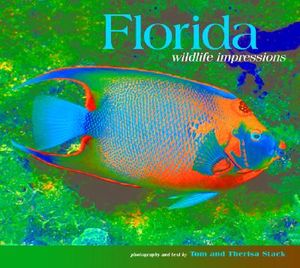 Florida Wildlife Impressions image number 0