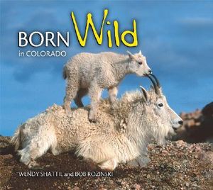 Born Wild in Colorado image number 0