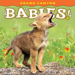 Grand Canyon Babies! image number 0
