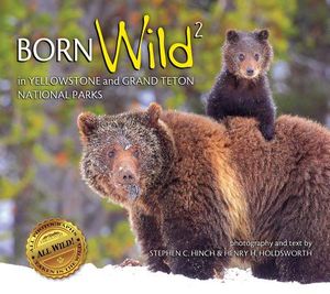 Born Wild 2: In Yellowstone and Grand Teton National Parks image number 0