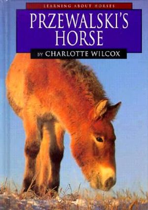 Przewalski's Horse image number 0