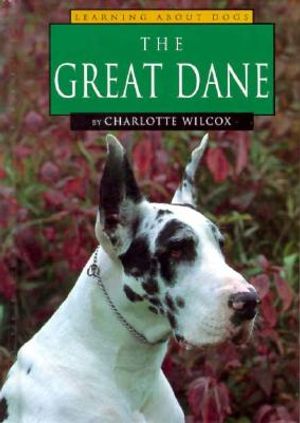 The Great Dane image number 0
