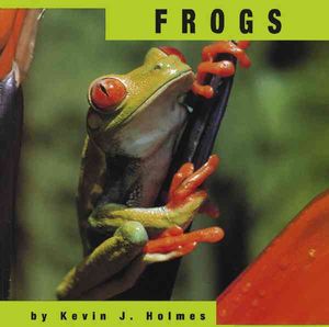 Frogs image number 0