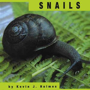 Snails image number 0