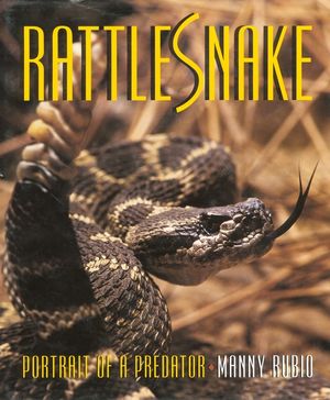 Rattlesnake: Portrait of a Predator image number 0
