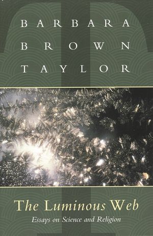 Luminous Web: Essays on Science and Religion image number 0
