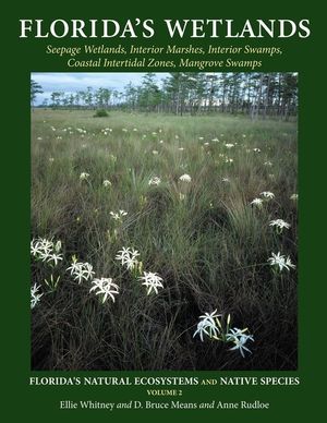 Florida's Wetlands image number 0