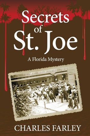 Secrets of St. Joe image number 0