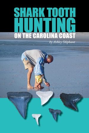 Shark Tooth Hunting on the Carolina Coast image number 0