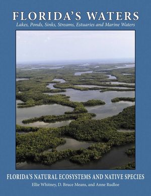 Florida's Waters image number 0