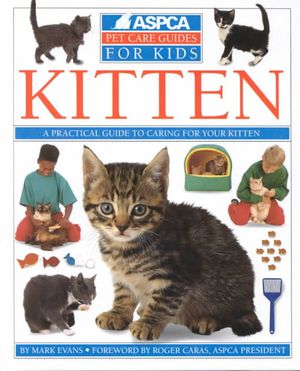 Kitten image number 0