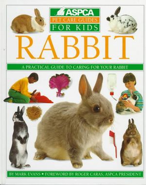 Rabbit image number 0