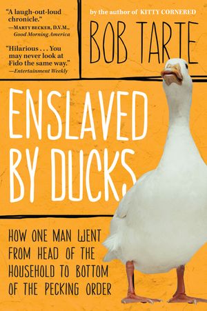 Enslaved by Ducks image number 0