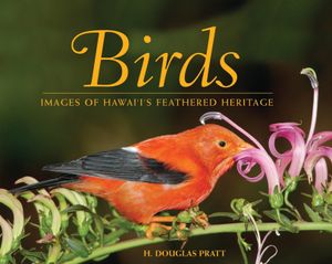 Birds: Images of Hawaii's Feathered Heritage image number 0