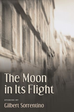 The Moon in Its Flight image number 0