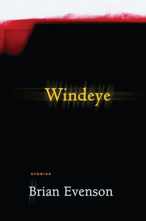 Windeye image number 0