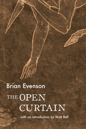The Open Curtain image number 0