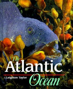 Atlantic Ocean image number 0
