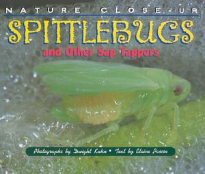 Spittlebugs and Other Sap Tappers image number 0