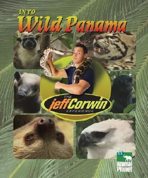 Into Panama image number 0