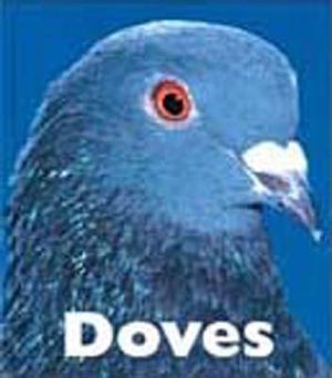 Doves image number 0