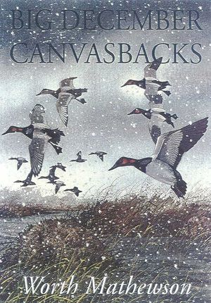 Big December Canvasbacks, Revised (Revised) image number 0