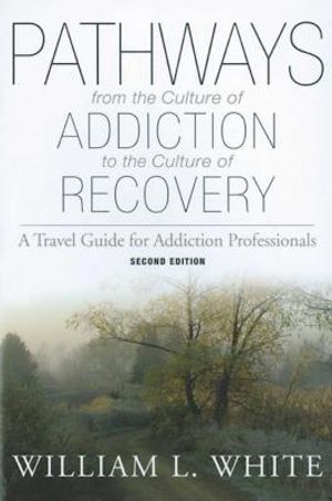 Pathways from the Culture of Addiction to the Culture of Recovery: A Travel Guide for Addiction Professionals image number 0