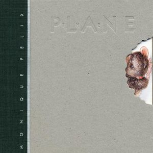 The Plane image number 0