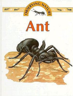 Ant image number 0