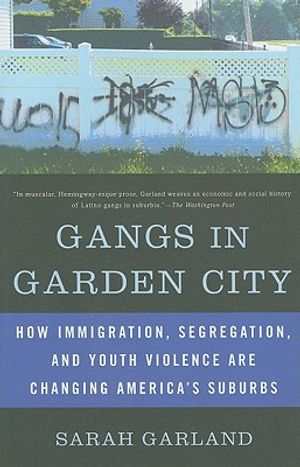 Gangs in Garden City: How Immigration, Segregation, and Youth Violence Are Changing America's Suburbs image number 0