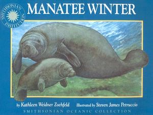 Oceanic Collection: Manatee Winter image number 0