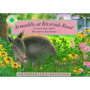 Armadillo at Riverside Road image number 0