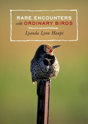 Rare Encounters with Ordinary Birds image number 0