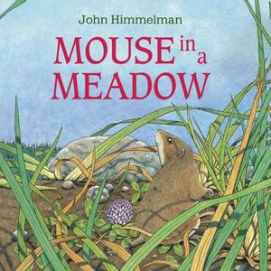 Mouse in a Meadow image number 0